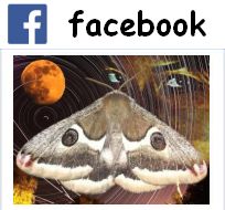 Official FaceBook Page